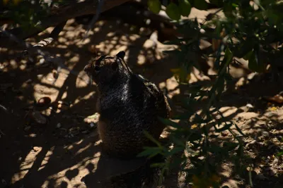 DSC_6883 (Large).JPG